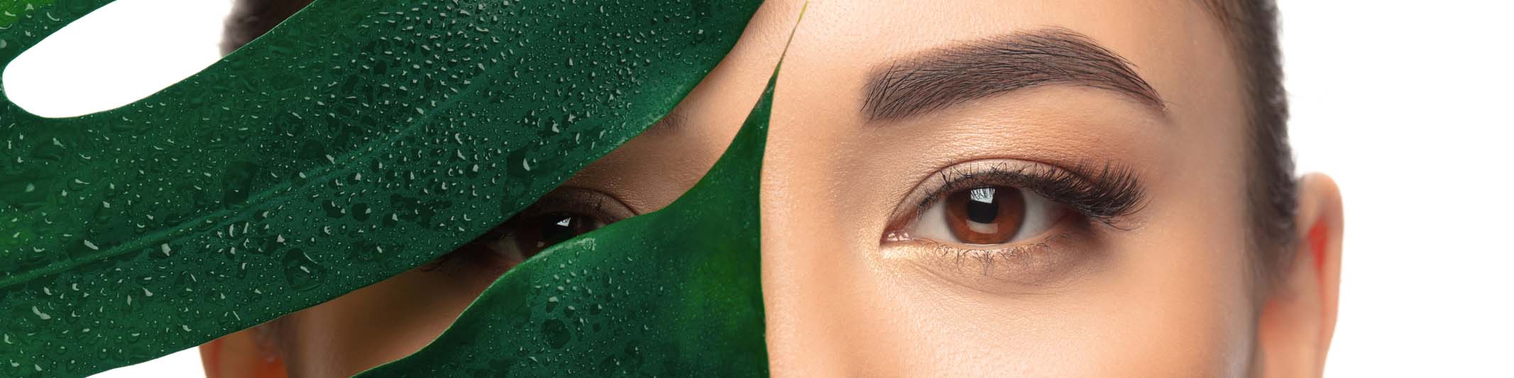 prp plasma rico en plaqueta medicina estética madrid medico estético madrid elena berezo